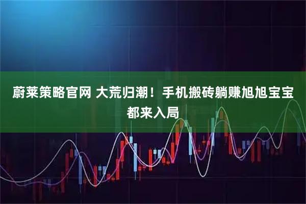 蔚莱策略官网 大荒归潮！手机搬砖躺赚旭旭宝宝都来入局